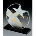 Medium Stellar Discovery Marble Award